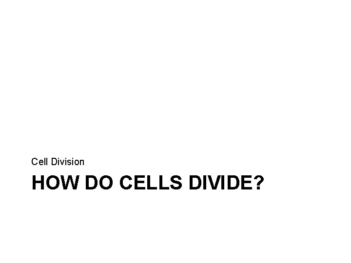 Cell Division HOW DO CELLS DIVIDE? 