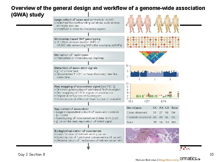 Overview of the general design and workflow of a genome-wide association (GWA) study Day