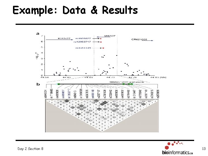 Example: Data & Results Day 2 Section 8 13 