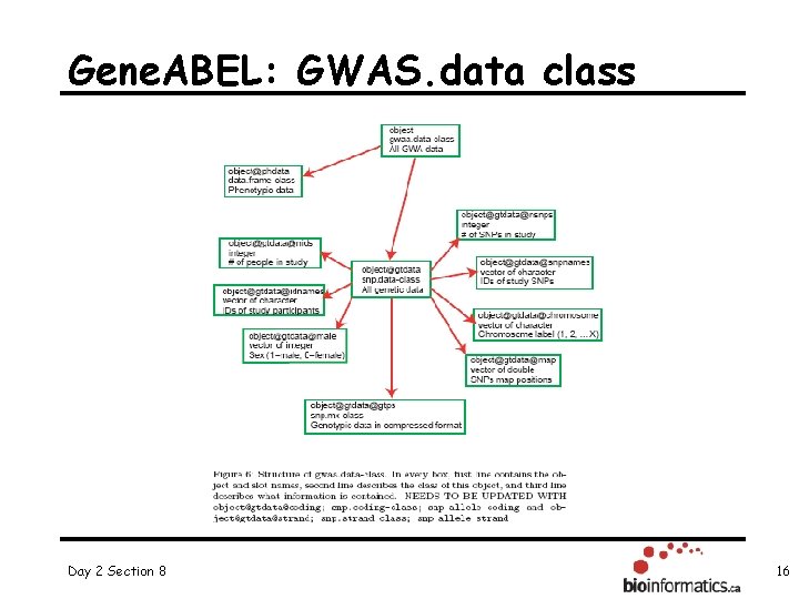 Gene. ABEL: GWAS. data class Day 2 Section 8 16 