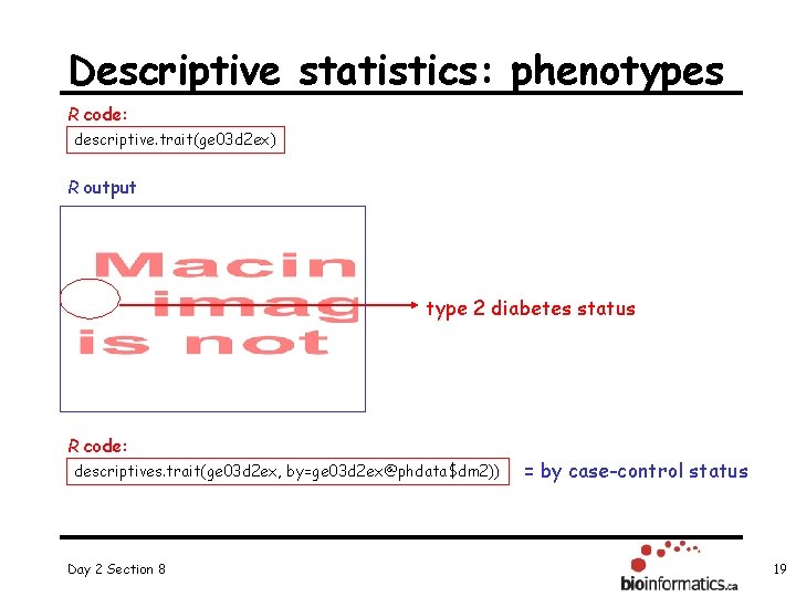 Descriptive statistics: phenotypes R code: descriptive. trait(ge 03 d 2 ex) R output type