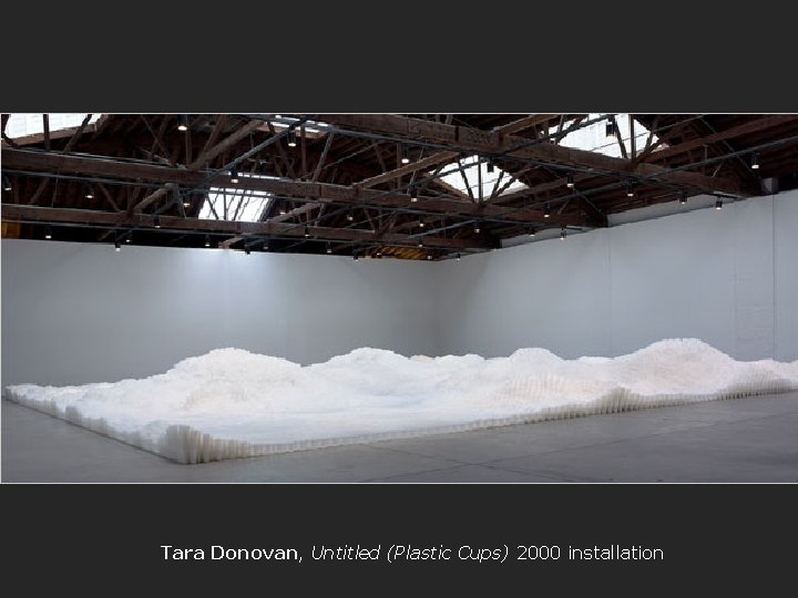 Tara Donovan, Untitled (Plastic Cups) 2000 installation 