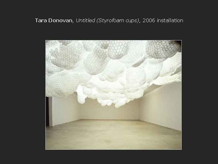 Tara Donovan, Untitled (Styrofoam cups), 2006 installation 