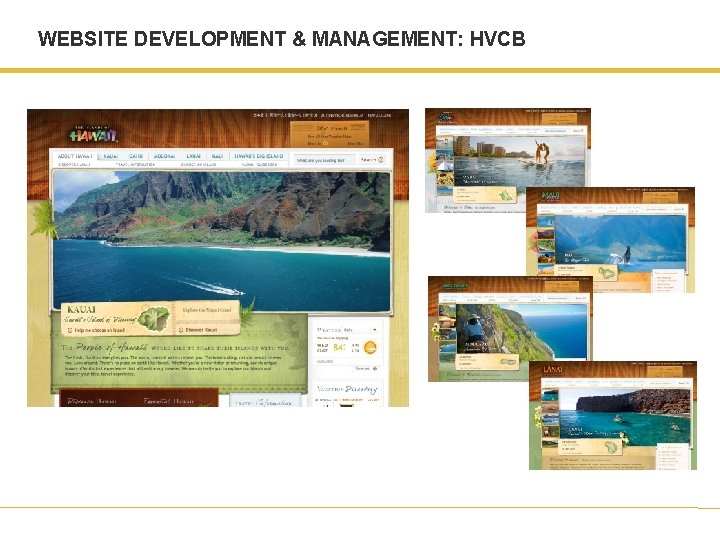 WEBSITE DEVELOPMENT & MANAGEMENT: HVCB 