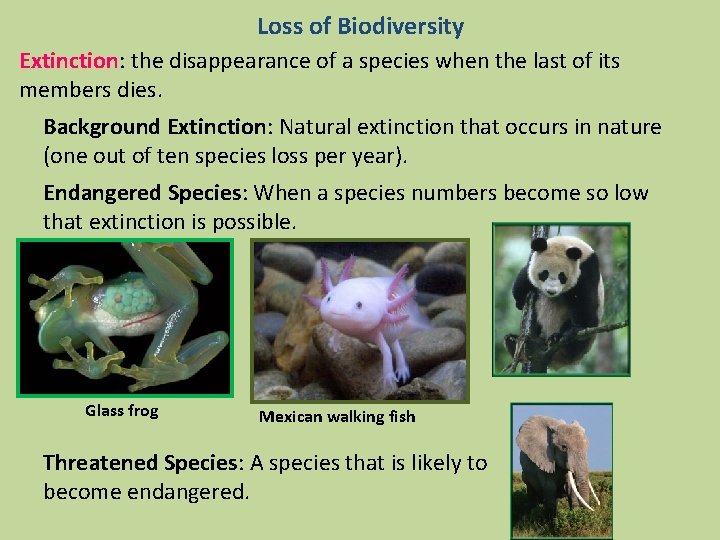 Loss of Biodiversity Extinction: the disappearance of a species when the last of its