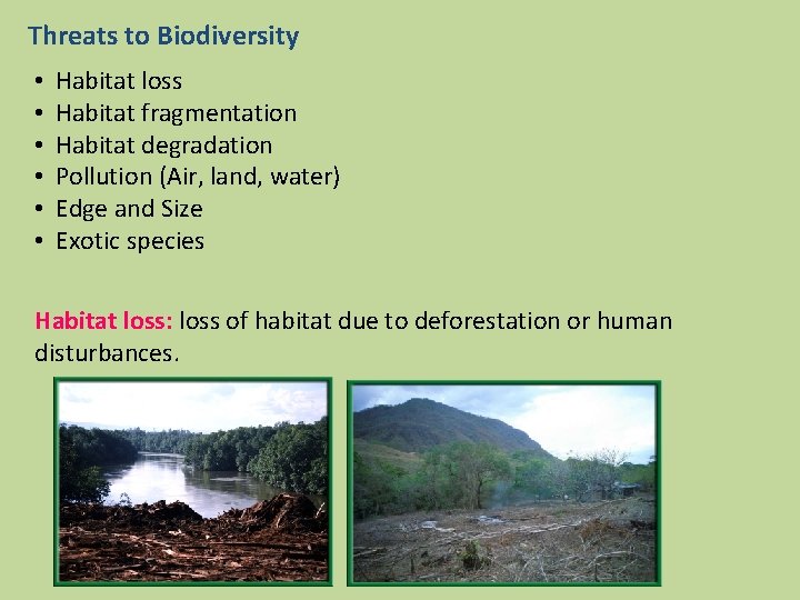Threats to Biodiversity • • • Habitat loss Habitat fragmentation Habitat degradation Pollution (Air,