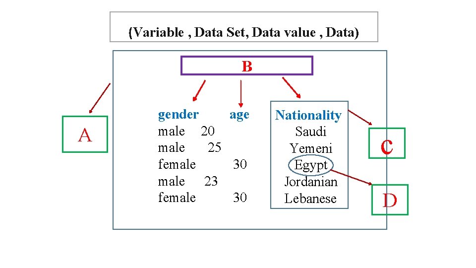 (Variable , Data Set, Data value , Data) B A gender age male 20