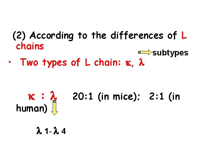 (2) According to the differences of L chains • Two types of L chain: