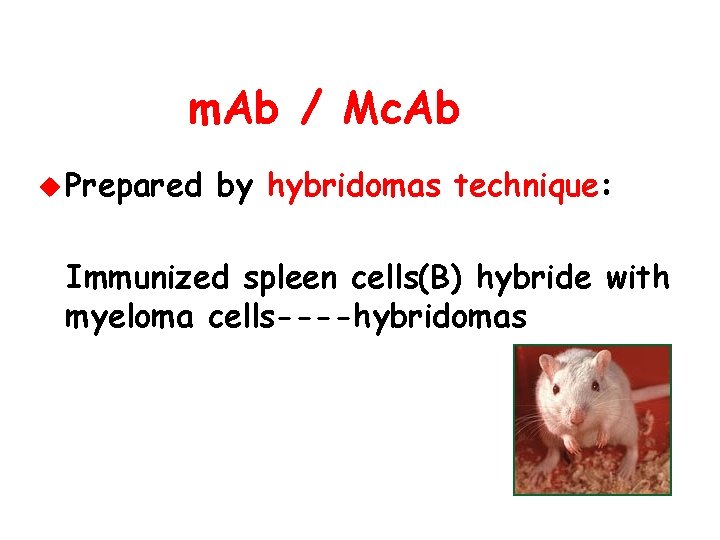 m. Ab / Mc. Ab u Prepared by hybridomas technique: Immunized spleen cells(B) hybride