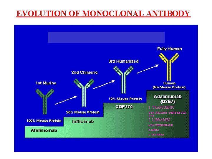 EVOLUTION OF MONOCLONAL ANTIBODY 1. TRANSGENIC DNA SPLICING / GENE KNOCK OUT 2. LIBRARIES