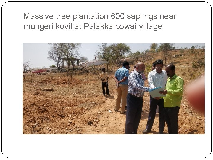 Massive tree plantation 600 saplings near mungeri kovil at Palakkalpowai village 