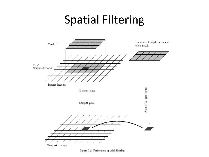 Spatial Filtering 