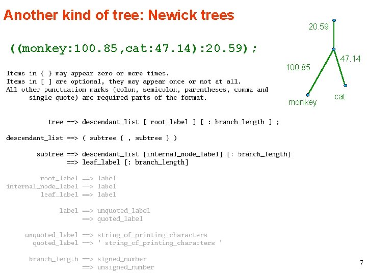 Another kind of tree: Newick trees 20. 59 ((monkey: 100. 85, cat: 47. 14):