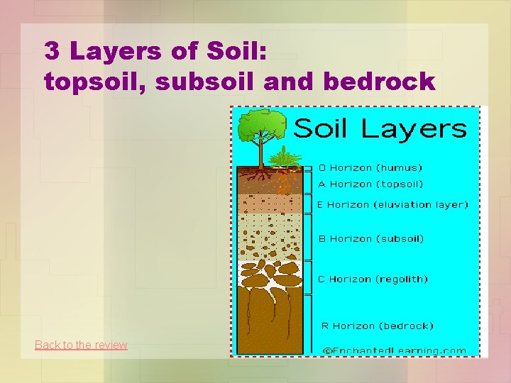 3 Layers of Soil: topsoil, subsoil and bedrock Back to the review 
