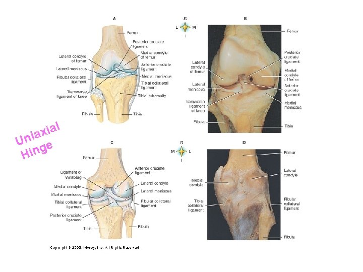 l a i x a Uni e g n i H 