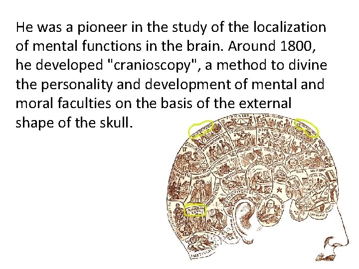 He was a pioneer in the study of the localization of mental functions in