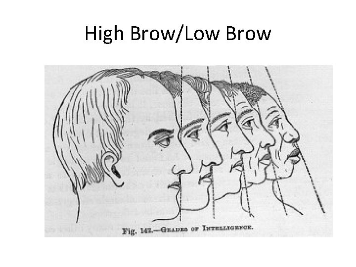 High Brow/Low Brow 