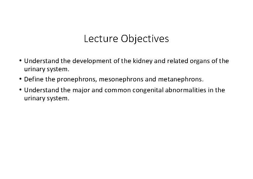 Lecture Objectives • Understand the development of the kidney and related organs of the