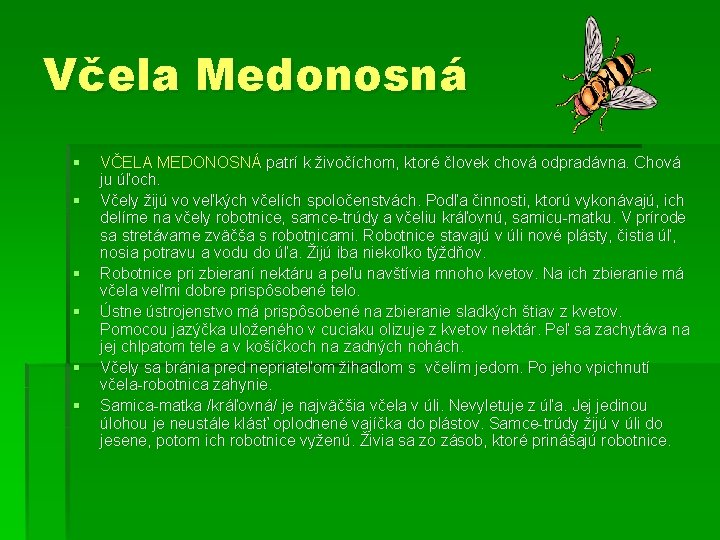 Včela Medonosná § § § VČELA MEDONOSNÁ patrí k živočíchom, ktoré človek chová odpradávna.