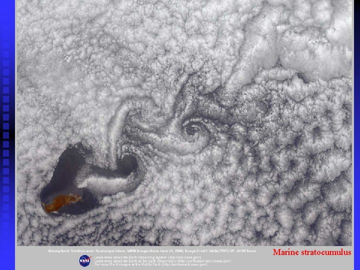 Marine stratocumulus 
