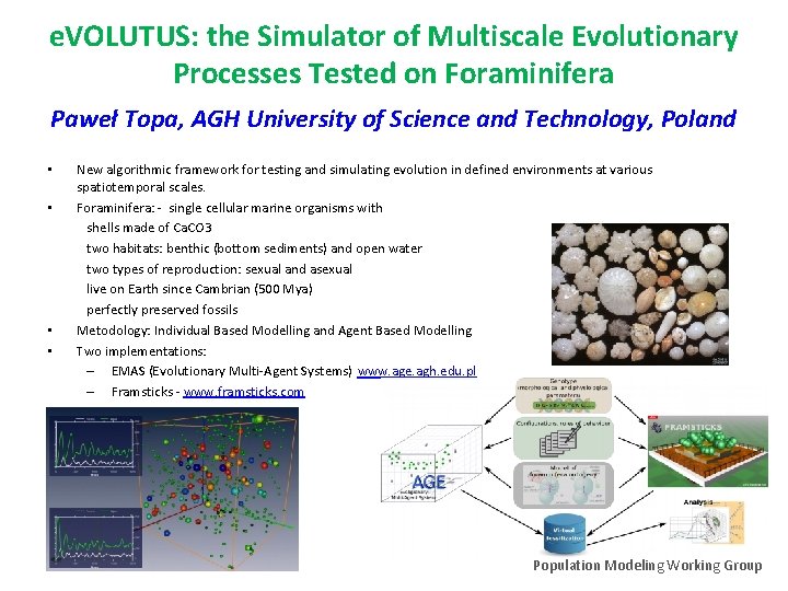 e. VOLUTUS: the Simulator of Multiscale Evolutionary Processes Tested on Foraminifera Paweł Topa, AGH