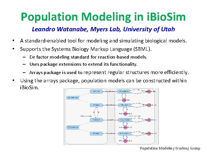 Population Modeling in i. Bio. Sim Leandro Watanabe, Myers Lab, University of Utah •