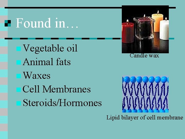 Found in… n Vegetable oil n Animal fats Candle wax n Waxes n Cell