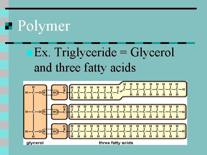 Polymer n Ex. Triglyceride = Glycerol and three fatty acids 