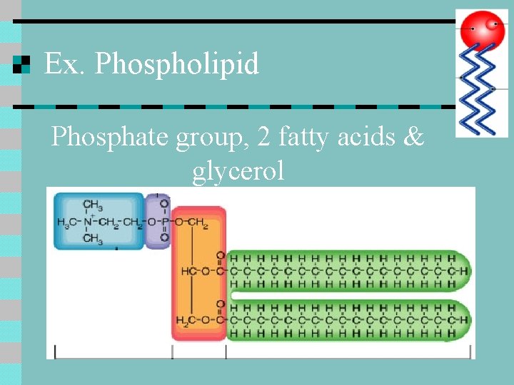 Ex. Phospholipid Phosphate group, 2 fatty acids & glycerol 