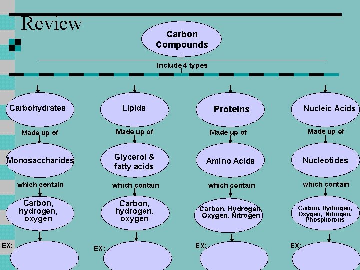 Review Carbon Compounds Include 4 types Lipids Carbohydrates Nucleic Acids Proteins Made up of