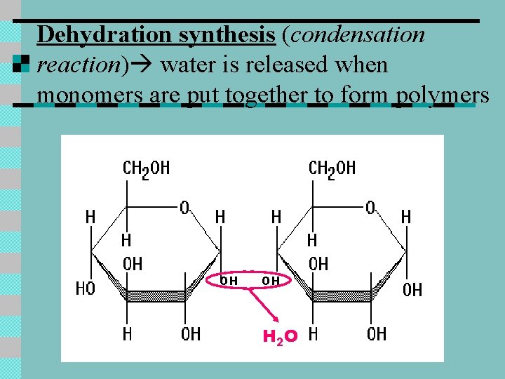 Dehydration synthesis (condensation reaction) water is released when monomers are put together to form