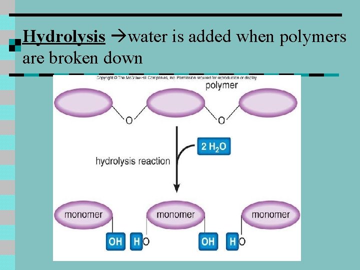 Hydrolysis water is added when polymers are broken down 