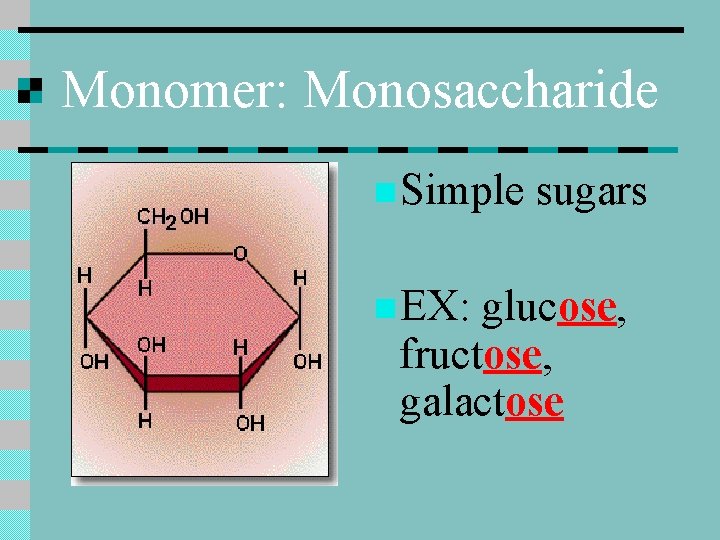 Monomer: Monosaccharide n Simple sugars n EX: glucose, fructose, galactose 