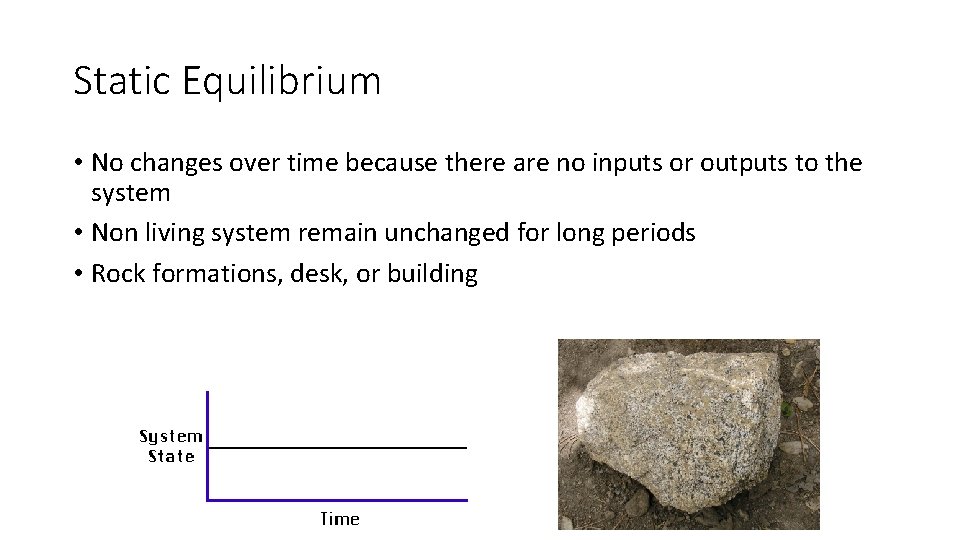 Static Equilibrium • No changes over time because there are no inputs or outputs