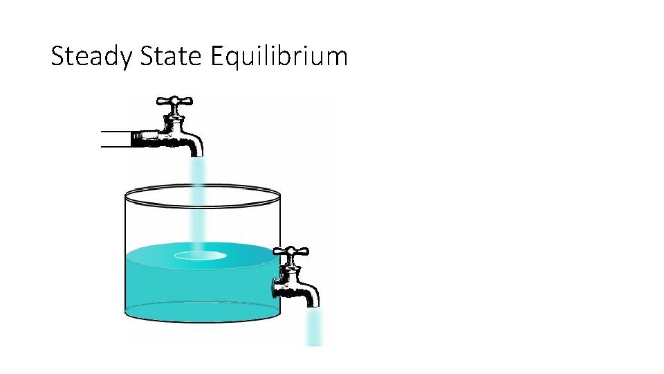 Steady State Equilibrium 