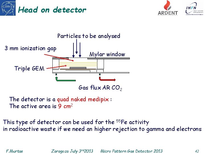 Head on detector Particles to be analysed 3 mm ionization gap Mylar window Triple