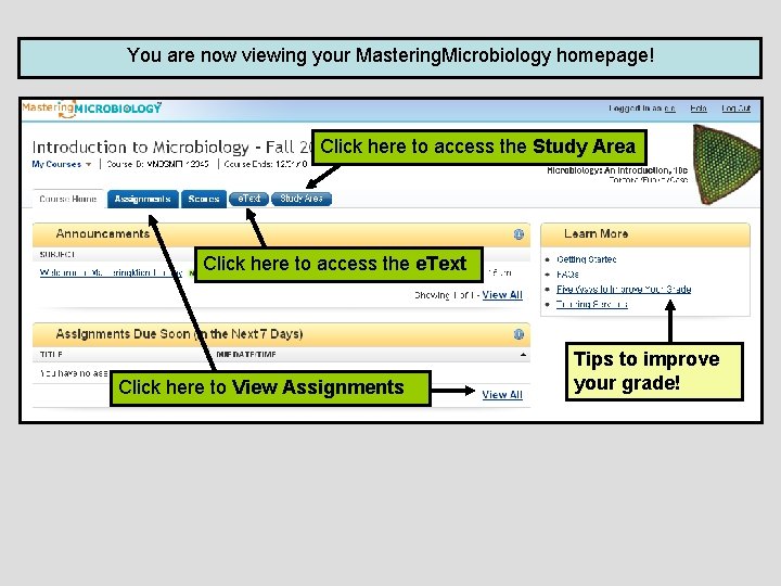 You are now viewing your Mastering. Microbiology homepage! Click here to access the Study