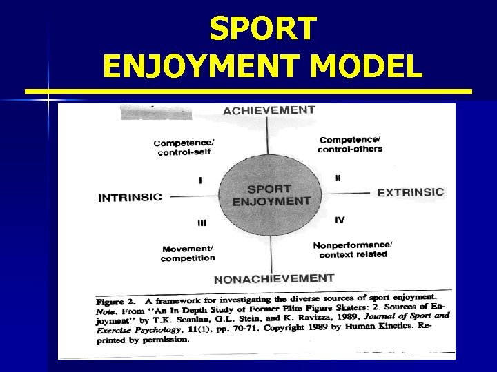 SPORT ENJOYMENT MODEL 