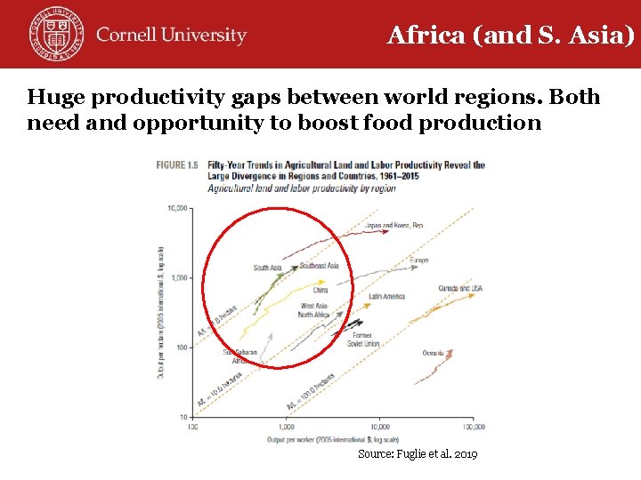 Africa (and S. Asia) Huge productivity gaps between world regions. Both need and opportunity