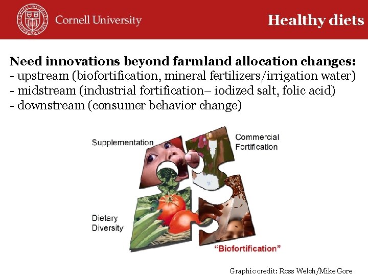 Healthy diets Need innovations beyond farmland allocation changes: - upstream (biofortification, mineral fertilizers/irrigation water)