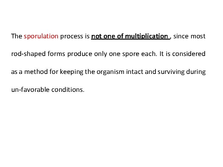 The sporulation process is not one of multiplication , since most rod-shaped forms produce
