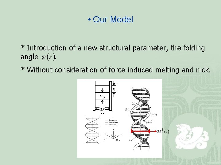  • Our Model * Introduction of a new structural parameter, the folding angle.