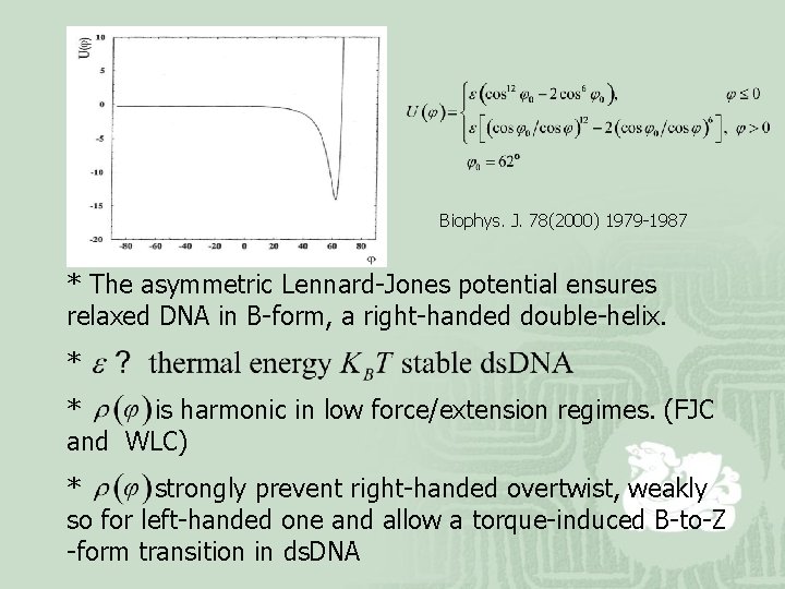 Biophys. J. 78(2000) 1979 -1987 * The asymmetric Lennard-Jones potential ensures relaxed DNA in
