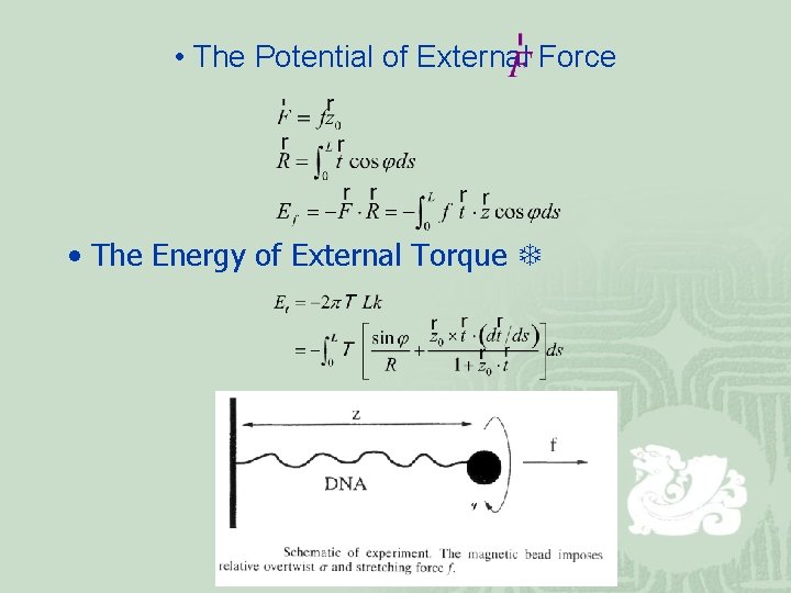  • The Potential of External Force • The Energy of External Torque T