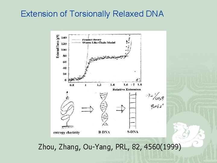 Extension of Torsionally Relaxed DNA Zhou, Zhang, Ou-Yang, PRL, 82, 4560(1999) 