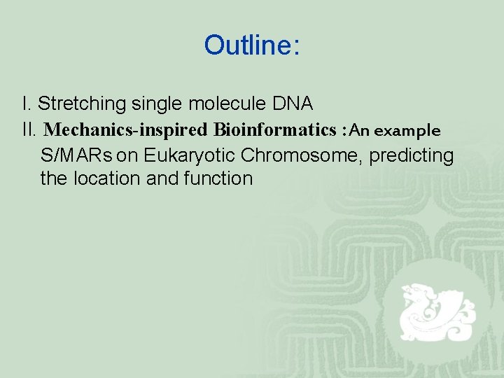 Outline: I. Stretching single molecule DNA II. Mechanics-inspired Bioinformatics : An example S/MARs on