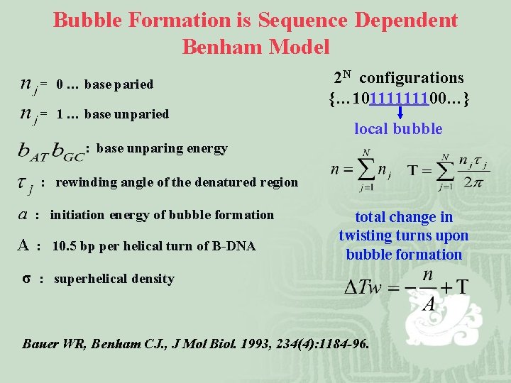 Bubble Formation is Sequence Dependent Benham Model = 0 … base paried = 1