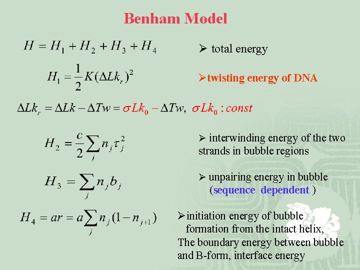 Benham Model Ø total energy Øtwisting energy of DNA Ø interwinding energy of the