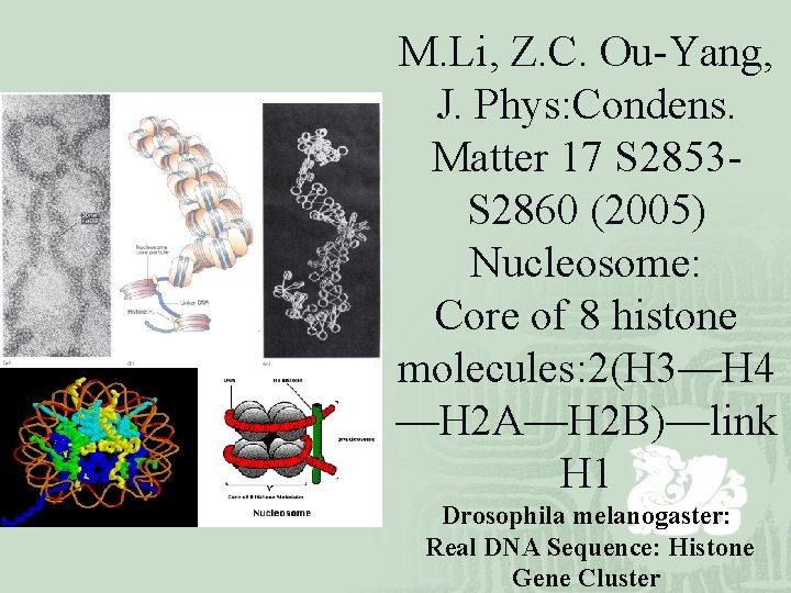 M. Li, Z. C. Ou-Yang, J. Phys: Condens. Matter 17 S 2853 S 2860