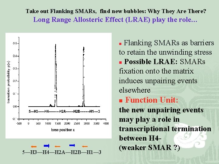 Take out Flanking SMARs, find new bubbles: Why They Are There? Long Range Allosteric